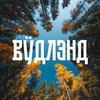Логотип телеграм канала @vudland — "Вудлэнд" - парк-отель в Марий Эл