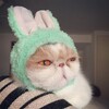 Логотип телеграм канала @vupsennc — Шиза Вупсеня