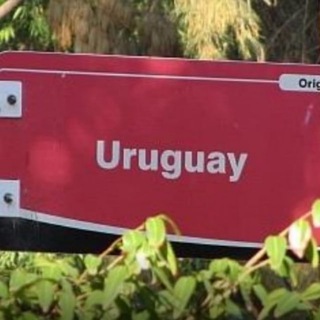 Логотип телеграм канала @vuruguay — Иммиграция в Уругвай