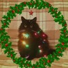 Логотип телеграм канала @vvabalabadabdab — Ржебали ██▅▇██▇▆▅▄▄▄▇
