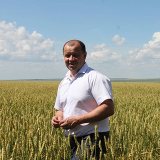 Логотип телеграм канала @vvbasov — Василий Басов