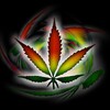 Logo of telegram channel vvejkjdrtjjbcg — Trippy Psychedelic Exotic House 🏴‍☠️
