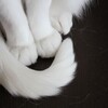 Логотип телеграм канала @vvevr7 — //-