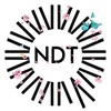 Логотип телеграм канала @vvo_ndt — НЕТ ДРУГИХ ТУСОВОК