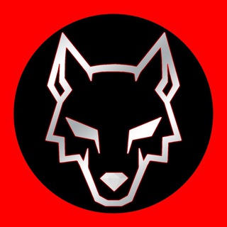 Логотип телеграм канала @vvolkovbet — Прогнозы и ставки от V.Volkov