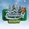 Логотип телеграм канала @vybornajaonline888 — Выборная онлайн Новосибирск