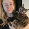 Логотип телеграм канала @vzrolsy_content — Кошачий Контент