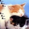 Логотип телеграм канала @w1ixzzz — неуч викс💤#103венерическихзаболеваний