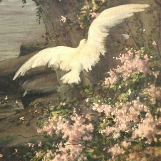 لوگوی کانال تلگرام w22_22r — أجنــحـة... 🕊