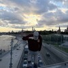Логотип телеграм канала @waackvovchik — вовчик