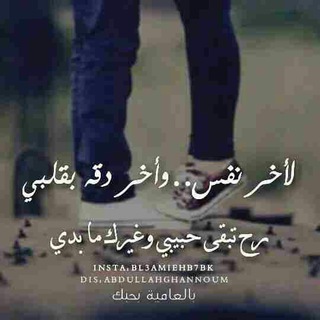 Logo saluran telegram waeel_heypha — حب وعشق آولّآدآلّآجُآويِد