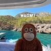 Логотип телеграм канала @wagmicrpt — WAGMI