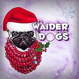 Логотип телеграм канала @waiderdogs — ️️༉‧₊˚✧️𝗪𝗮𝗶𝗱𝗲𝗿.𝗱𝗼𝗴𝘀⋰˚🤍