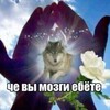 Логотип телеграм канала @waititsatrip — TRiP🌀