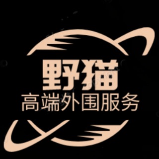电报频道的标志 waiweiyemao — 外围「野猫」