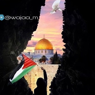 لوگوی کانال تلگرام wajaa_m — وجـ ـع.ღt