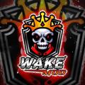 Logo saluran telegram wakestores — ☠️ WAKE STORE ☠️