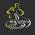 Logo des Telegrammkanals waldeffekt - 🌱Der Waldeffekt ☘️