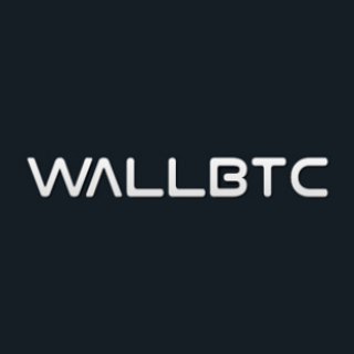 Логотип телеграм канала @wallbtc_info — WallBtc.sg