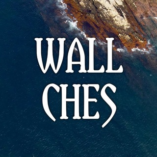 Логотип телеграм -каналу wallches — WALLCHES | ОБОИ