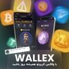 Logo of telegram channel wallexcrypto — اخبار تکنولوژی و هوش مصنوعی