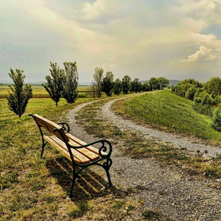 Логотип телеграм канала @walnussblatt — WALNUSSblatt - Öffentlich