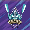 Логотип телеграм канала @walrusesdragonteam — Walruses dragon team