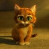 Логотип телеграм канала @wampdaddy — maytucoocks🧡