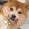 电报频道的标志 wangjudianying — 电影|网剧|小鱼儿部落