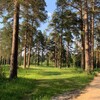 Логотип телеграм канала @want_very — люблю • асбест