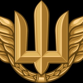 Логотип телеграм -каналу war_home — Полковник ГШ