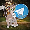 Logo of telegram channel warrior_cats0000 — :: ᯓ||_wᴀrriᴏrs_ᴄᴀᴛs..|WCUE sᴛudiᴏ ᴋnᴏᴩᴀ_||:: ⚊⊹˚𖥻