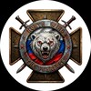 Логотип телеграм канала @warriorofnorth_en — North Wind