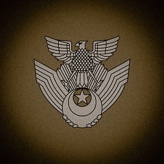 Логотип телеграм канала @warsreel — Военная правда