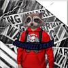 Logo of telegram channel washingtond1agn0zzz — Washington-GCO