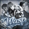 Логотип телеграм канала @wasp_fm — WASP