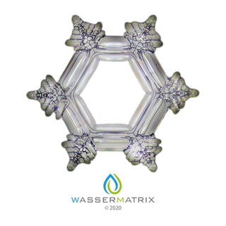 Logo des Telegrammkanals wassermatrixinfo - Wassermatrix