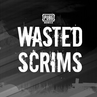 Logo saluran telegram wasted_scrims — WASTED SCRIMS