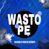 Логотип телеграм канала @wastope — WastoPE • Анархия