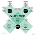 لوگوی کانال تلگرام watersigns — واتر ساینز | کنسر، اسکورپیو، پایسیز.