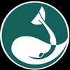 Logo of telegram channel waterspacefreediving — Waterspace freediving