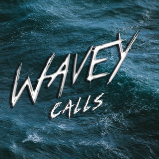 Logo of telegram channel waveycalls — Wavey Calls 🌊