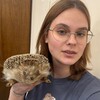 Логотип телеграм канала @waylanas — Книжный ёж