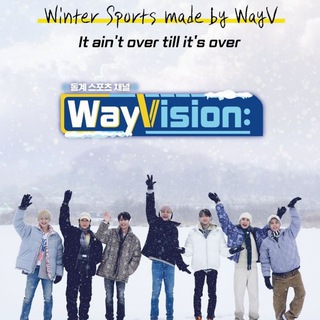 Logo saluran telegram wayvision20 — WayVision 2