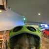 Логотип телеграм канала @wazulife — WAZAP LIFE