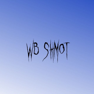 Логотип телеграм канала @wb_shmt — WB shm0t