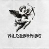 Logo of telegram channel wb_duds — WB_DUDS