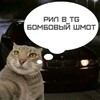 Логотип телеграм канала @wb_hax1 — BARSIK_WB