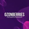 Логотип телеграм канала @wb_ozon_milana — Твоя корзина 🛒WB/OZON🛍️