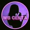 Логотип телеграм канала @wbcekta — WB CEKTA 💄